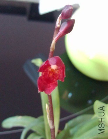QQ��ͼ20121212224454.jpg