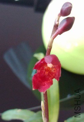 QQ��ͼ20121212224513.jpg