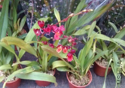 QQ��ͼ20121213114622.jpg