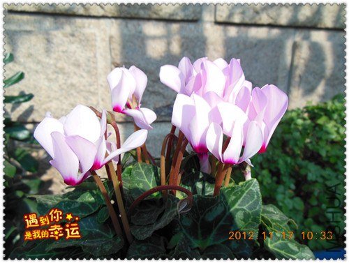 ��Ƭ 065_����.jpg