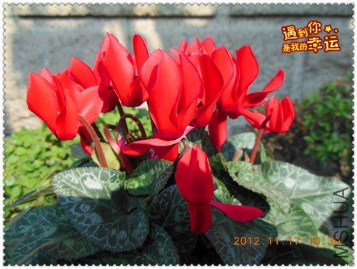 ��Ƭ 060_����.jpg