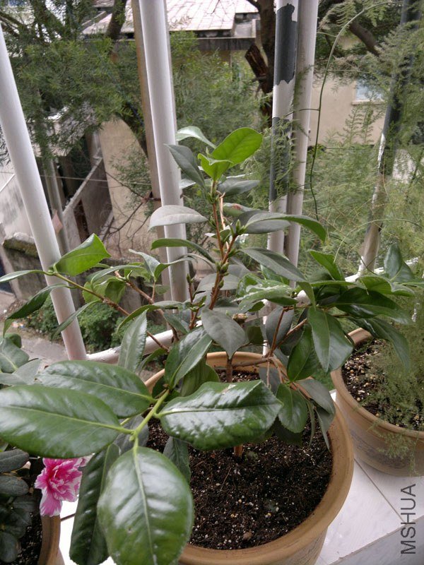20121213429.jpg