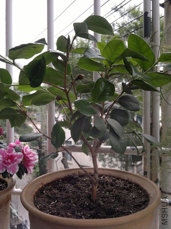 20121213430.jpg