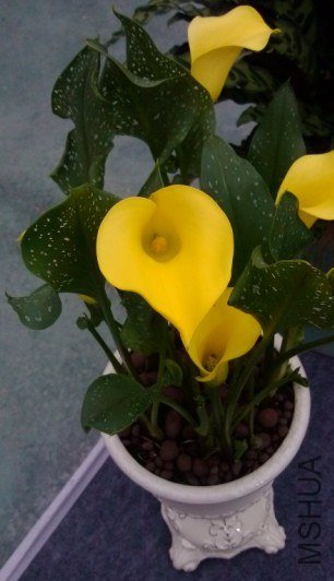 QQ��ͼ20121213113821.jpg