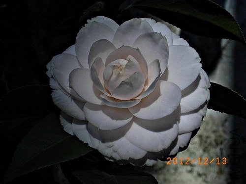 ǧ��֮��b.JPG