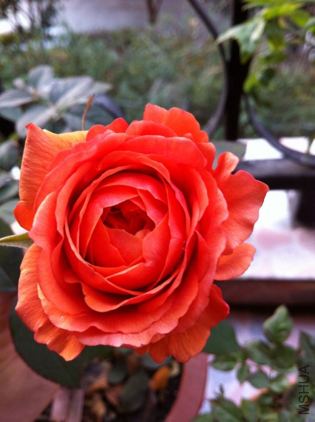 ��Ƭ 018.jpg