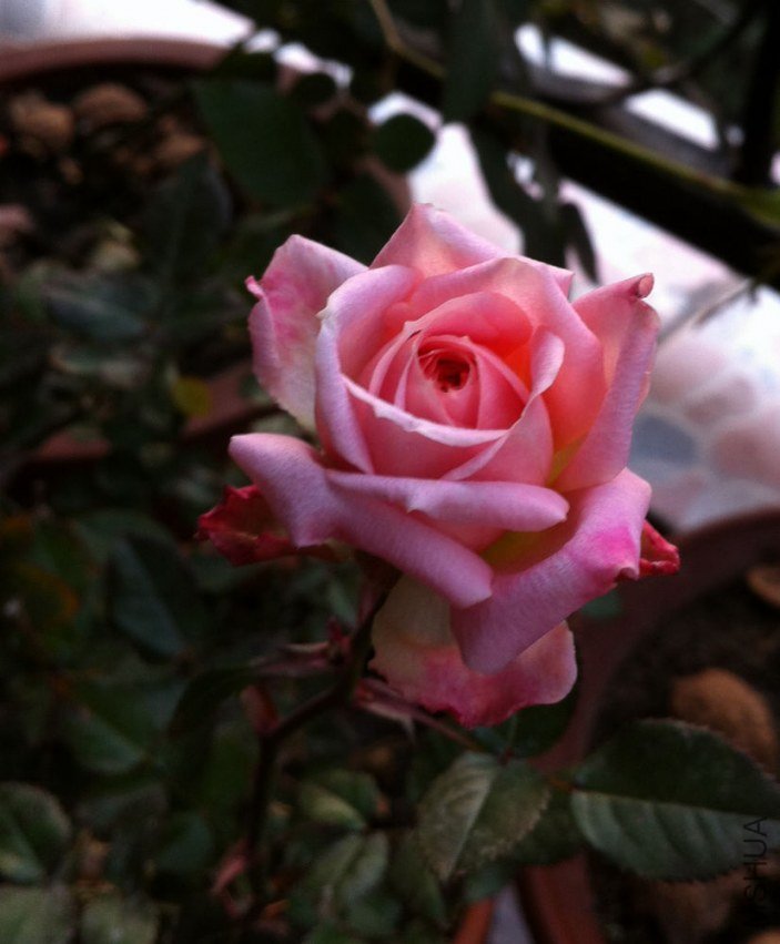 ��Ƭ 014.jpg