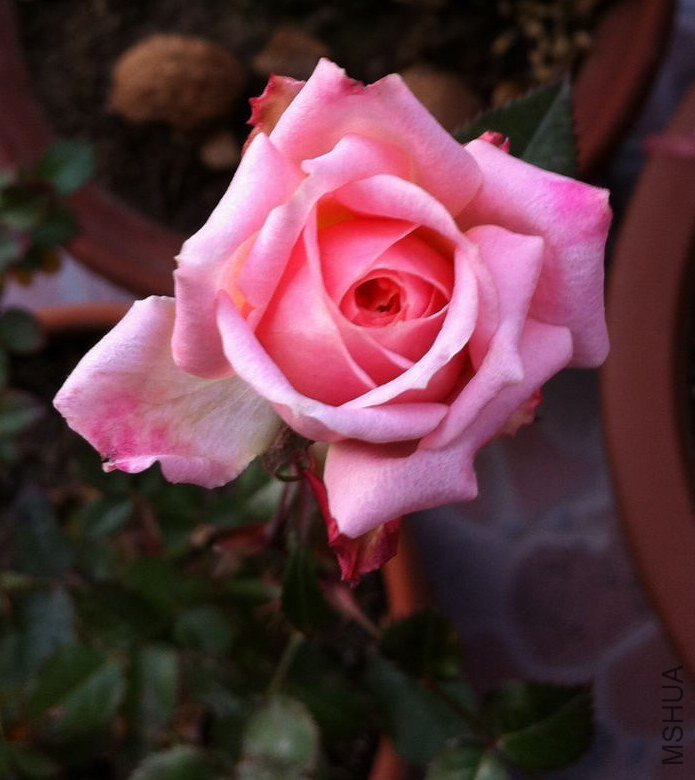 ��Ƭ 023.jpg