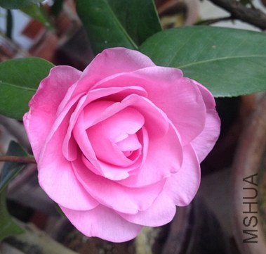 IMG_4030=.jpg