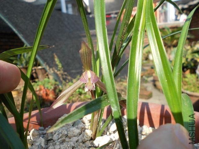 DSCN2527.jpg