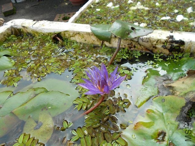 DSCN2523.jpg