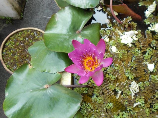 DSCN2521.jpg
