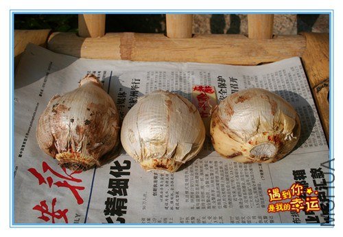 ��Ƭ 026_����.jpg