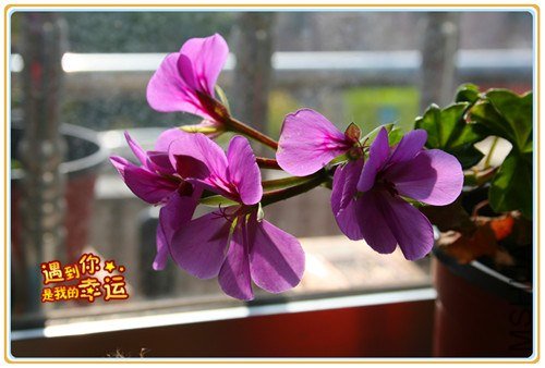 ��Ƭ 042_����.jpg