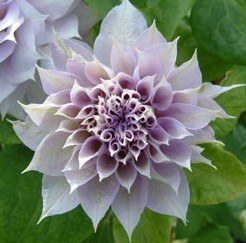 %3]M[V(IFID{253A5Q}T`V4.jpg