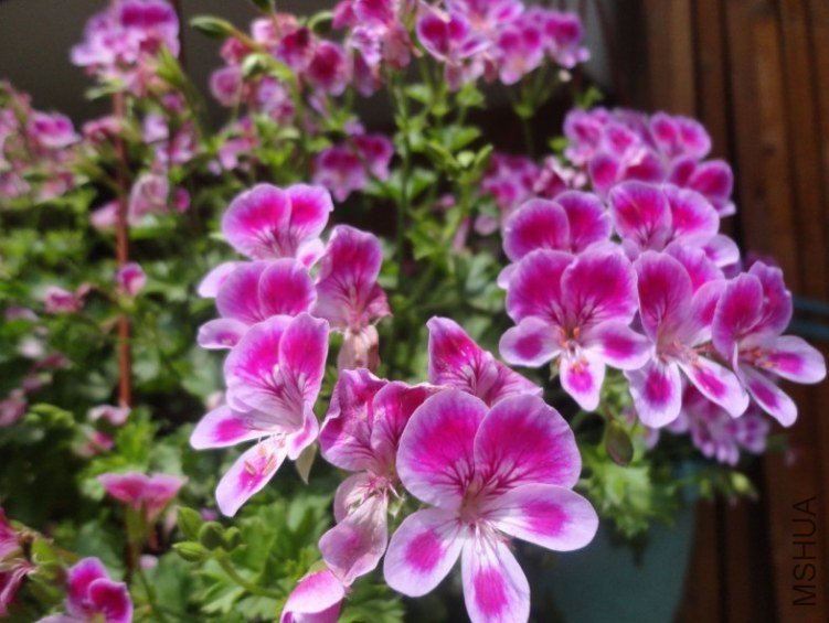 �ۺ���ʹ֮��01