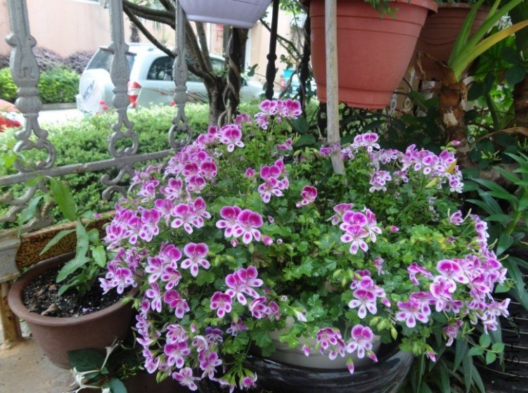 �ۺ���ʹ֮��02