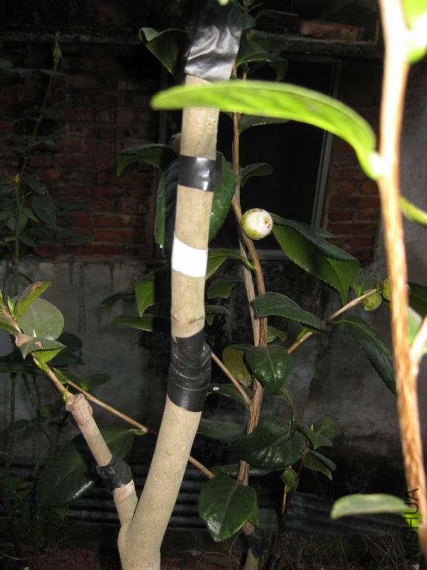 �������Ǹ�ѿ�����Ѻö໨��