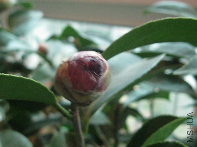 IMG_6093.jpg