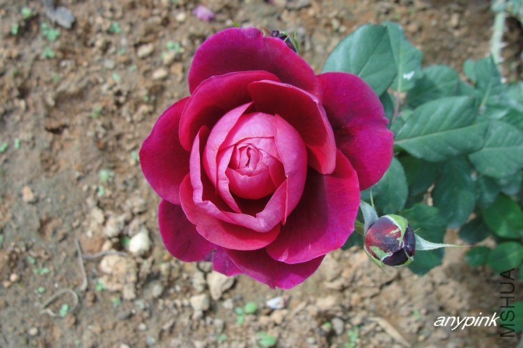 nEO_IMG_DSC07661.jpg