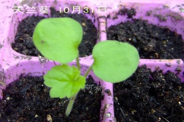 ���ÿ� 10��31��.jpg