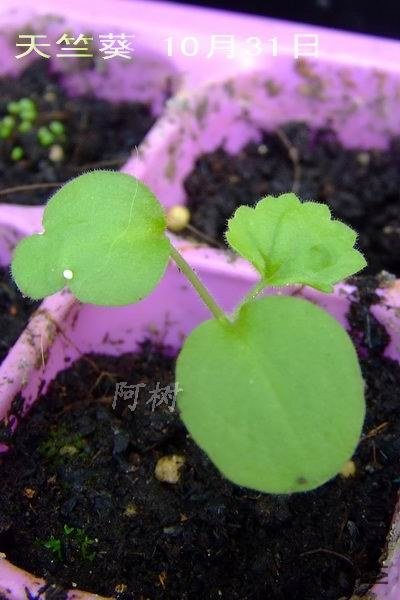 ���ÿ� 10��31�� 2.jpg