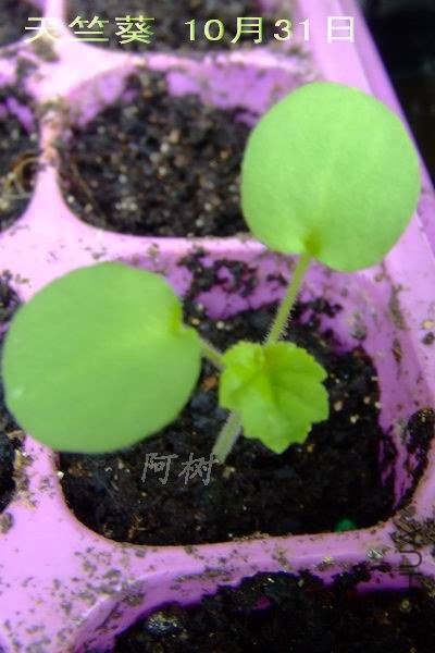 ���ÿ� 10��31�� 3.jpg