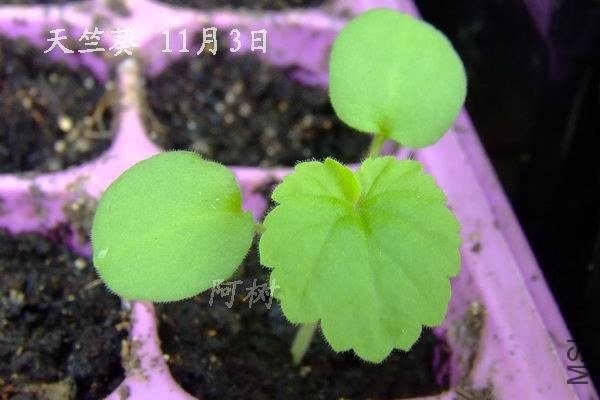 ���ÿ� 11��3��.jpg