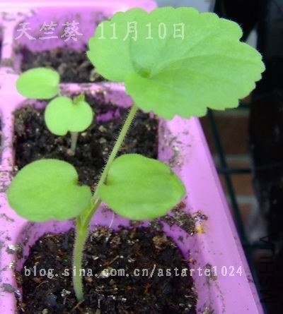 ���ÿ� 11��10��.jpg