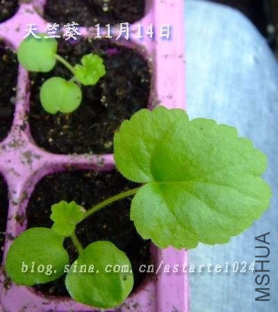 ���ÿ� 11��14�� 1.jpg