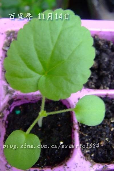 ���ÿ� 11��14�� 2.jpg