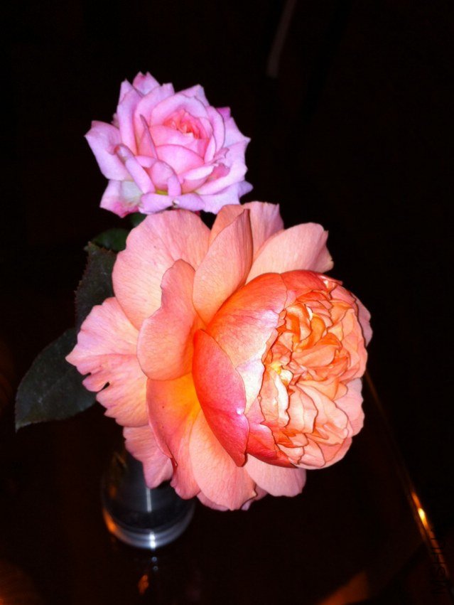 ��Ƭ 028.jpg
