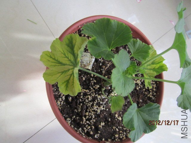 ��Ƭ 004.jpg