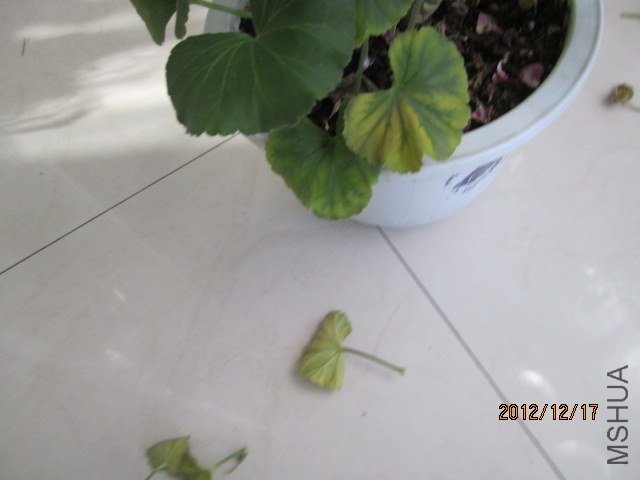 ��Ƭ 012.jpg
