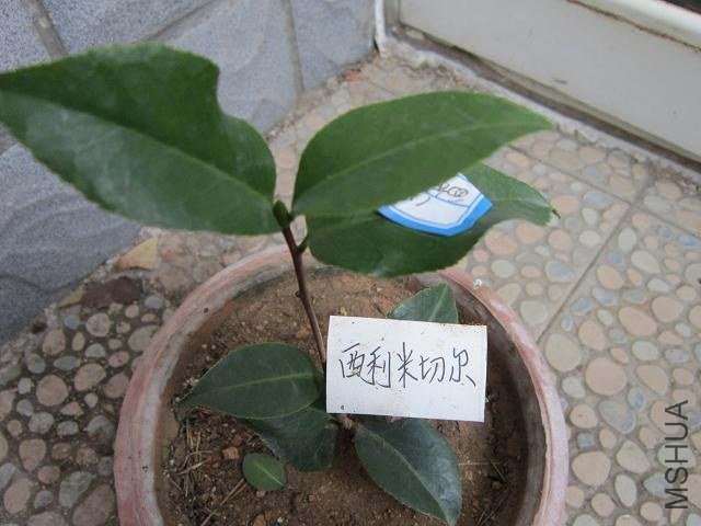 �������ж�