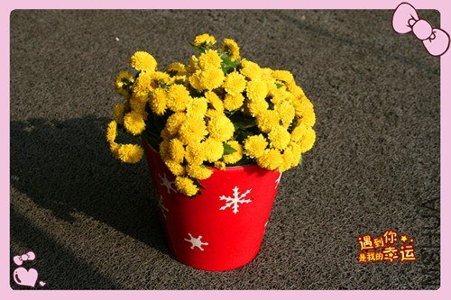 ��Ƭ 049_����.jpg