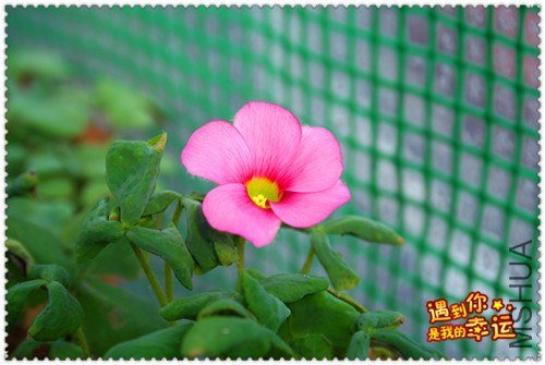 ��Ƭ 066_����.jpg