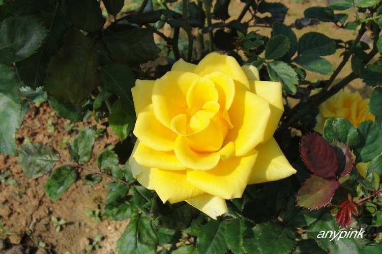 nEO_IMG_DSC07992.jpg
