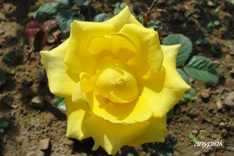 nEO_IMG_DSC07610.jpg