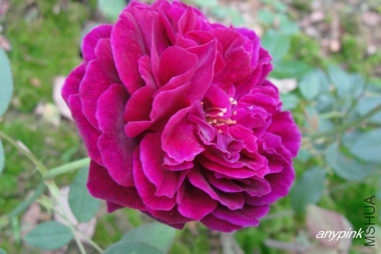 nEO_IMG_DSC07563.jpg