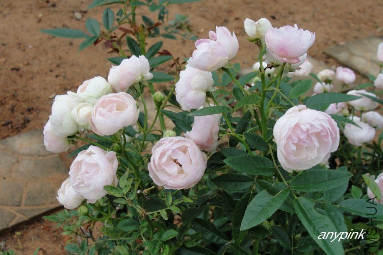 nEO_IMG_DSC07357.jpg