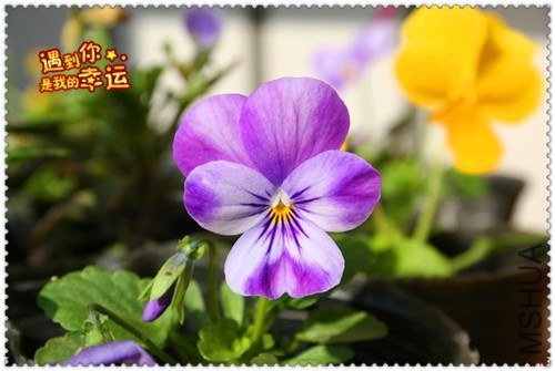 ��Ƭ 100_����.jpg