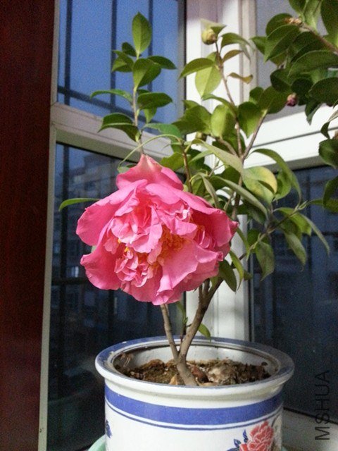 20121217_173106_����.jpg
