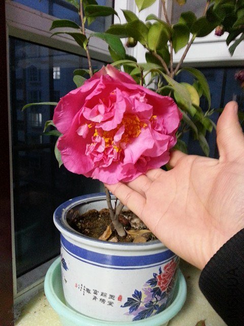 20121217_173112_����.jpg