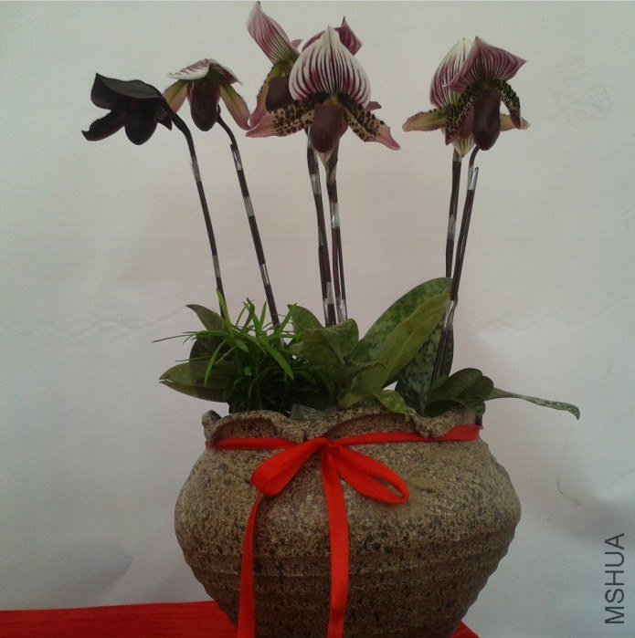 IMG_20121201_104123.jpg