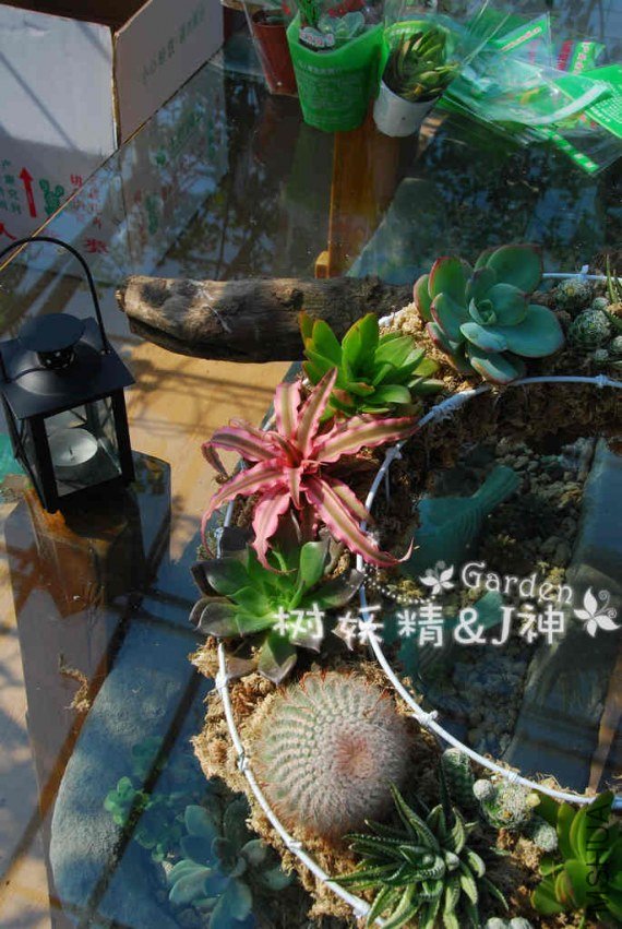 nEO_IMG_nEO_IMG_DSC_0126.jpg