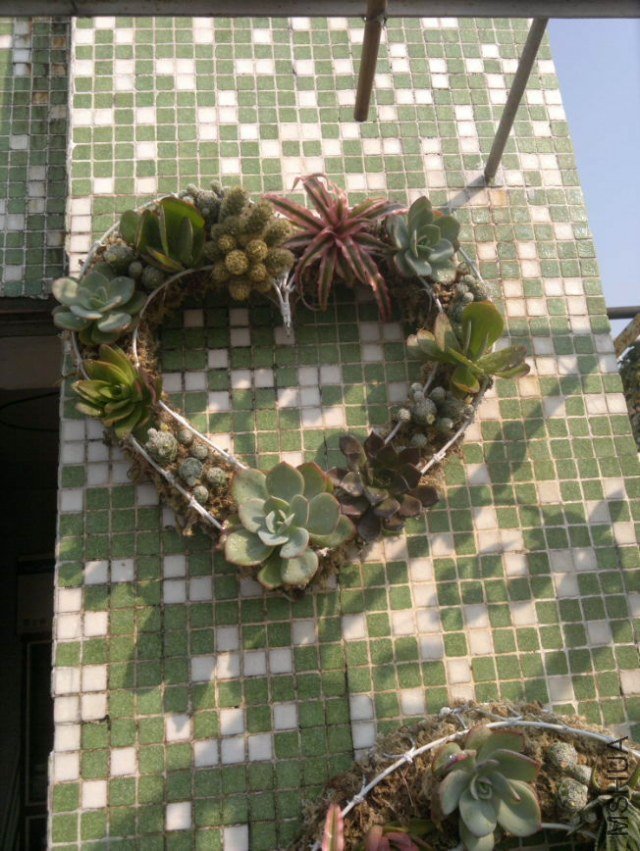 201212091075_1.jpg