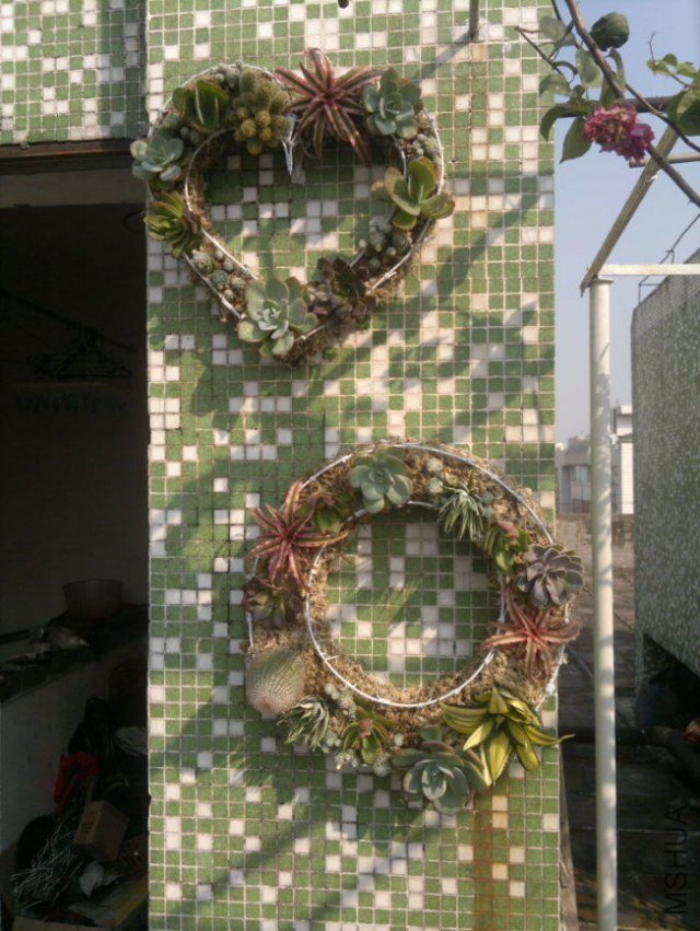 201212091076_1.jpg