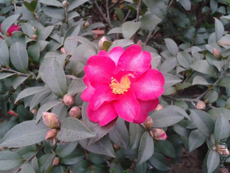 2012-12-14 16.10.15.jpg