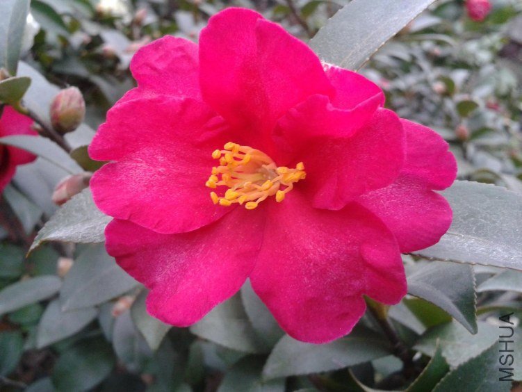 2012-12-14 16.10.40.jpg